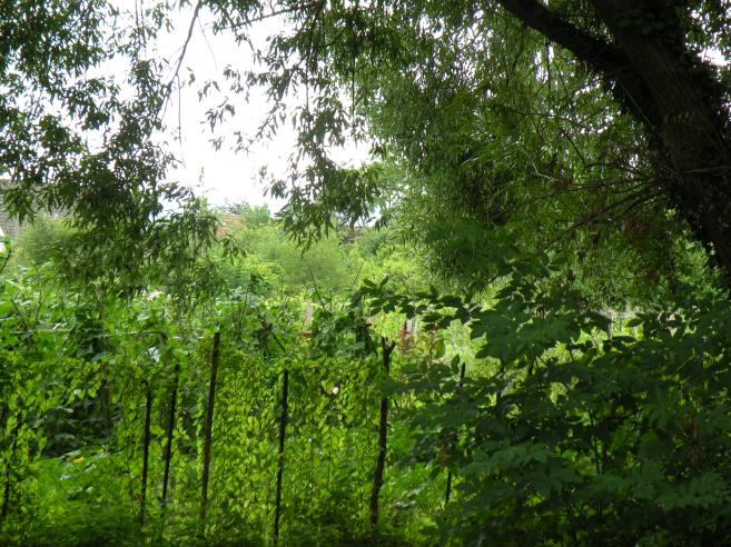  jardins de Sainte-Savine